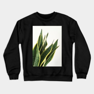 Sansevieria Crewneck Sweatshirt